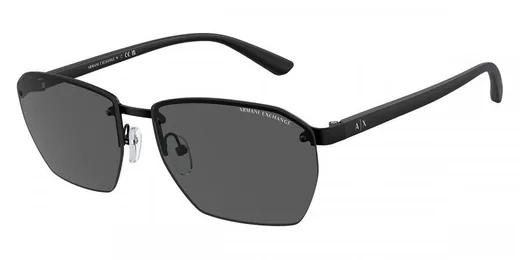 Armani Exchange 0AX2048S 60008759
