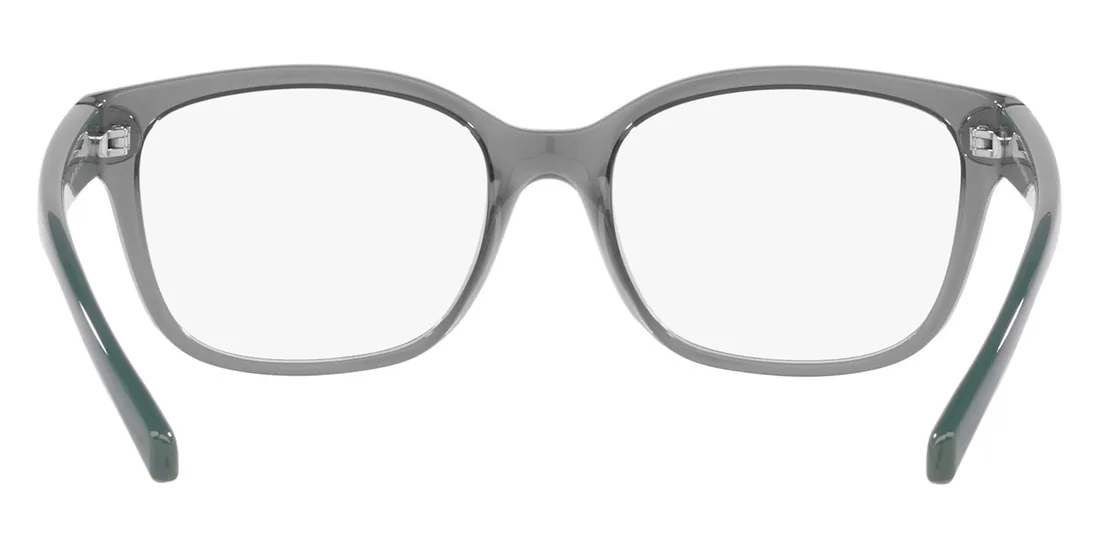 Armani Exchange 0AX3098824253