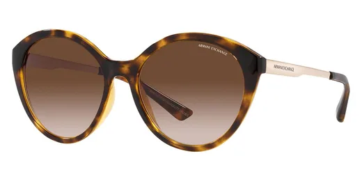 Armani Exchange 0AX4134S82131355