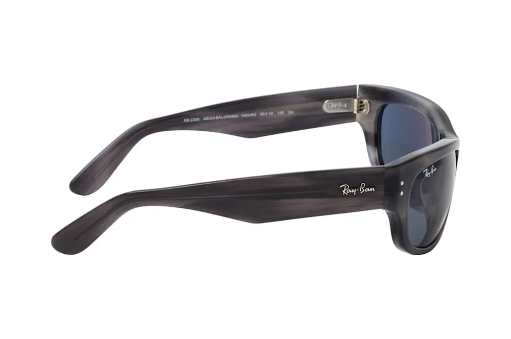 Ray-Ban 0RB2289